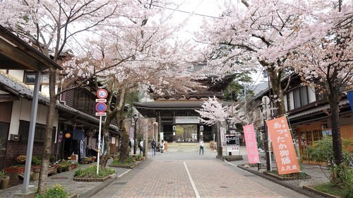 ３仁王門（２１－００００）淡墨桜 (3).JPG
