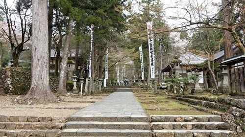 ４参道（２１－００００）淡墨桜 (4).JPG