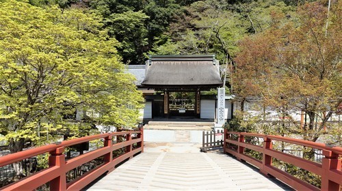 ３表門（２９－００００）室生寺 (3).JPG