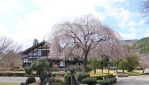 6荘川の里(21-0000)荘川町 (9).JPG