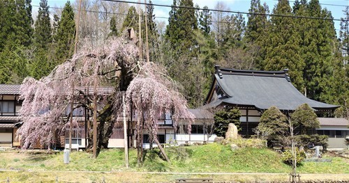 2(21-0000)清見町 (5).JPG