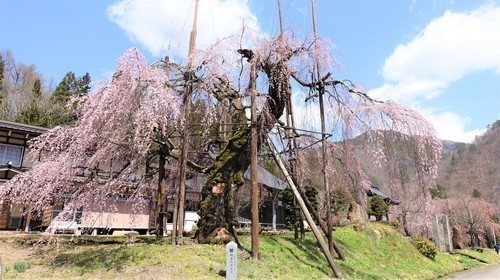 3(21-0000)清見町 (1).JPG
