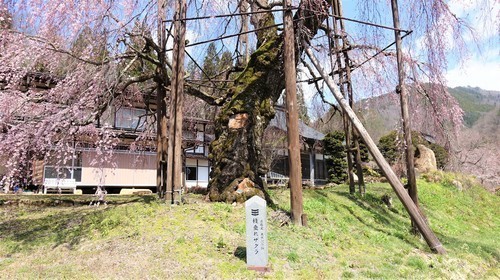 4(21-0000)清見町 (2).JPG
