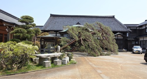 8滑川市徳城寺(16-0000)立山 (10).JPG