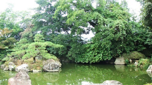 (19-38)(00)長遠寺庭園.JPG