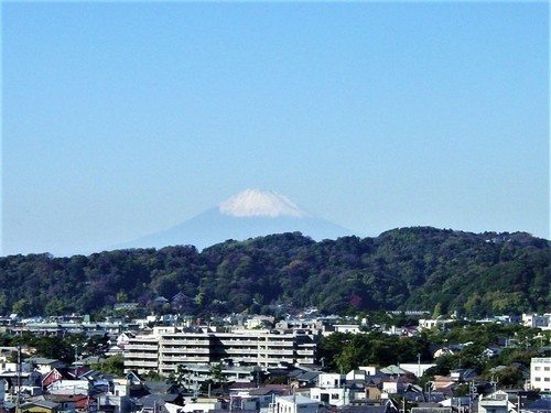 １（１４－４７）（００）安国論寺富士見台からの富士山.JPG