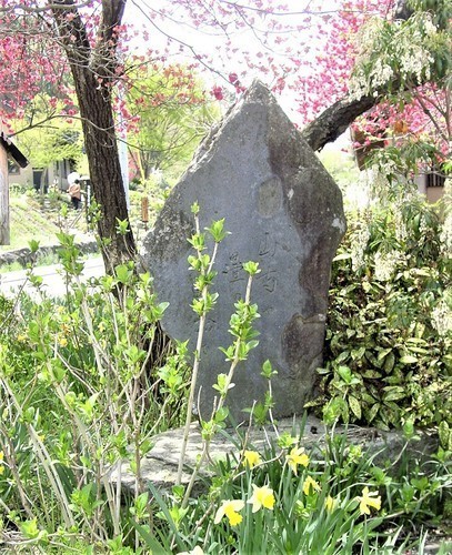2一茶(20-0002)長野 (2).JPG