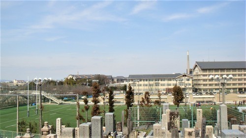 ５天理高校（２９－３５７）善福寺 (7).JPG