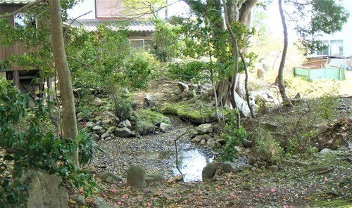 ４庭園（２５－０１００）浅井 (7).JPG