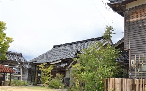 ４本堂（１７－２２０３）柳泉寺 (4).JPG