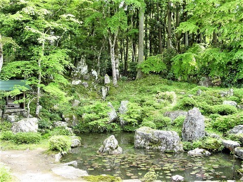 7(18-2005)(00)圓照寺庭園2.JPG