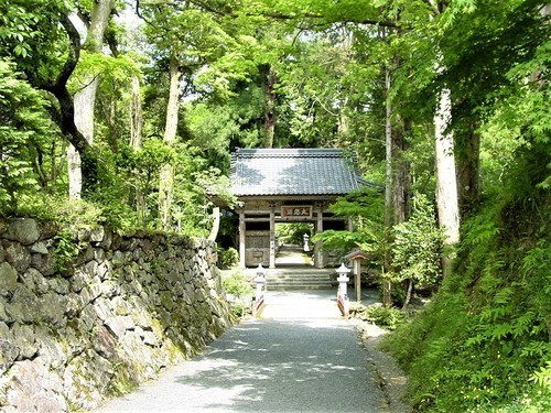 2参道(18-04)(00)妙楽寺参道1(仁王門へ).JPG