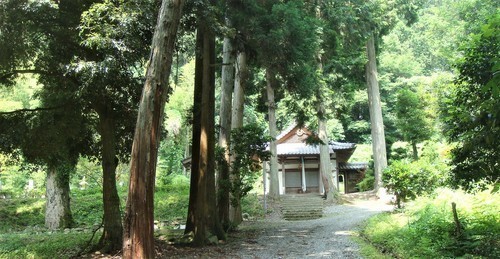 2本堂(25-5311)(00)善林寺 (5).JPG