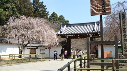（１）（２６－１０１０）醍醐寺総門.JPG