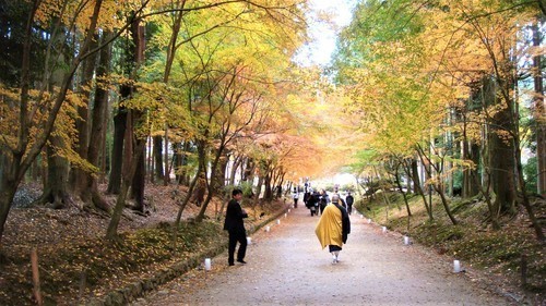 (10)仁王門から金堂へ(26-003)(00)醍醐寺参道3(金堂へ (3).JPG