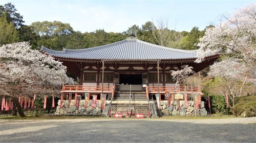 (18観音堂)(26-003)(00)醍醐寺参道3(金堂へ (10).JPG