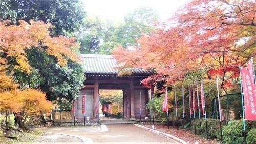 (17日月門)(26-0033)(00)醍醐寺 (2).JPG