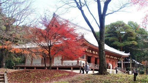 (12金堂)(26-003)(00)醍醐寺参道3(金堂へ (1).JPG