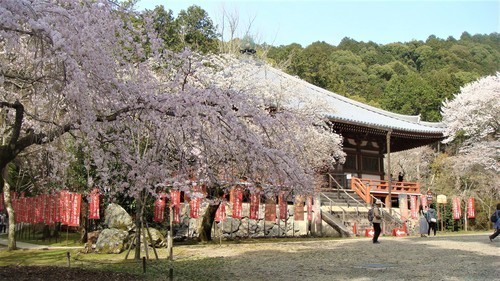 ３観音堂（２６－１０００）醍醐寺 (2).JPG