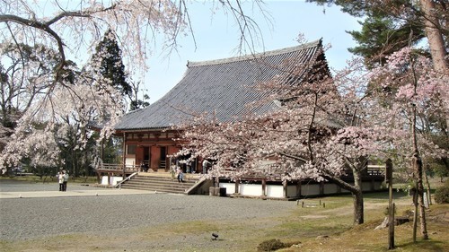 １金堂（２６－１０００）醍醐寺 (3).JPG