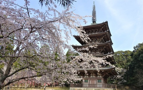 ２五重塔（２６－１０００）醍醐寺 (4).JPG