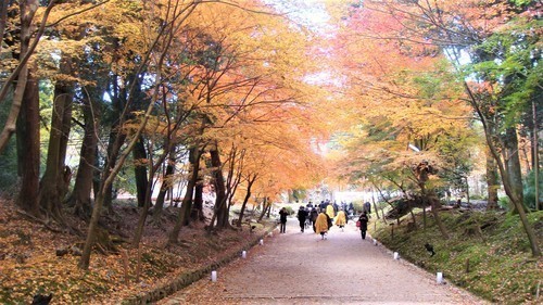 (26-0134)醍醐寺.JPG