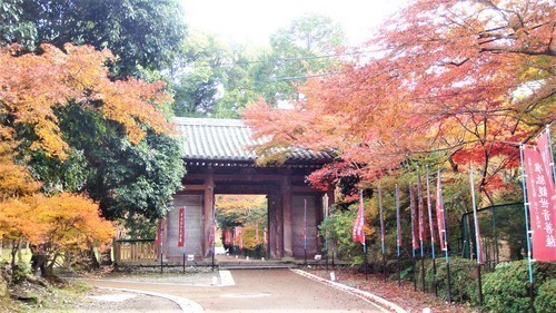 4日月門(26-1013)醍醐寺 (4).JPG