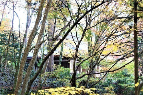 ７石水院（２６－０４０１）高山寺 (14).JPG