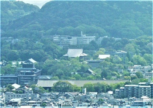 ２京都タワーから手前三十三間堂（２６－３０７１）（００）＜２＞智積院遠景.JPG