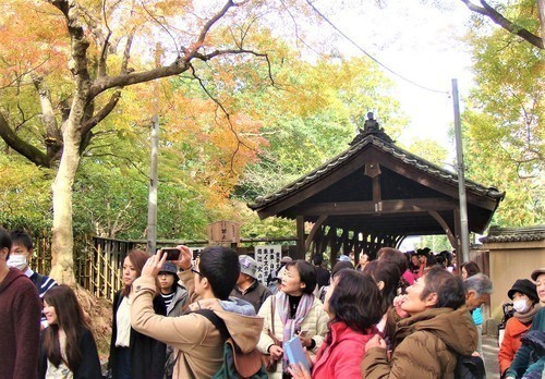 ３臥雲橋（２６－０３１５）東福寺２０１４年 (4).JPG
