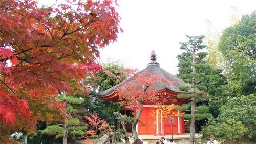 １０愛染堂（２６－０３１５）東福寺２０１４年 (11).JPG
