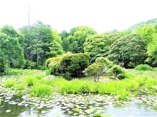 60(26-402)(00)勧修寺庭園氷室池2.jpg
