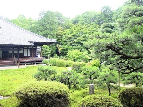 (26-401)(00)随心院庭園.jpg