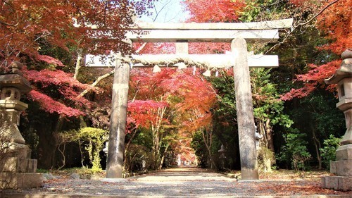 1大原野神社(26-5610)勝持寺 (51).JPG