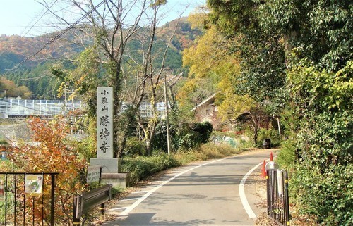 ２参道入口（２６－５６１０）勝持寺 (52).JPG