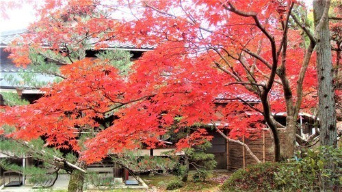 4待月軒(26-0345)一休寺 (14).JPG