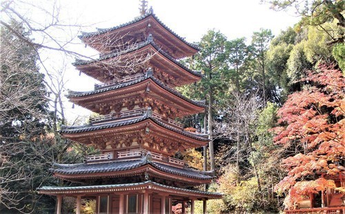 ９五重塔（２６－７０００）海住山寺   (3).JPG