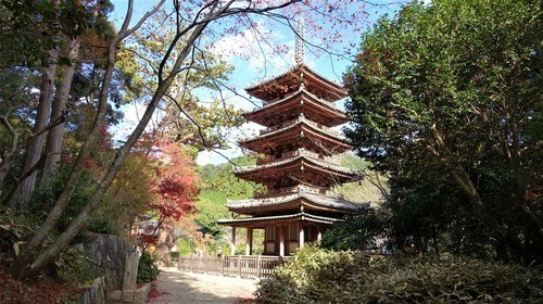 ８五重塔（２６－７０００）海住山寺   (5).JPG
