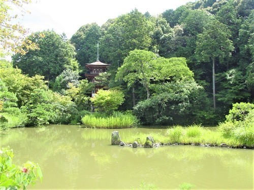 ７（２６－０１０）（００）浄瑠璃寺浄土式庭園３.jpg