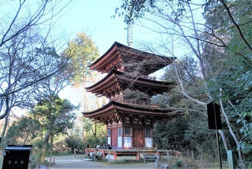 １０三重塔（２６－６７０５８）浄瑠璃寺 (4).JPG