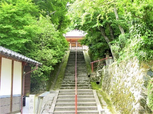5(26-85004)(00)楞厳寺参道(本堂へ).jpg