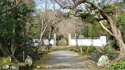 １１参道（２６－５６４）浄住寺 (3).JPG
