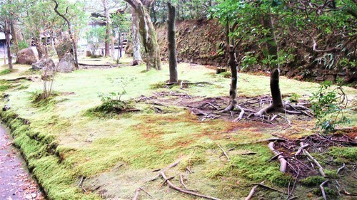 2境内(26-0289)法然院 (19).JPG