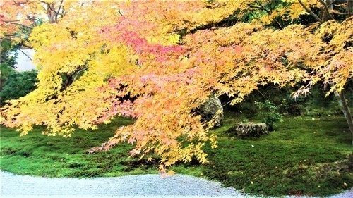 36方丈東庭(26-0232)天授庵 (9)2012年.JPG
