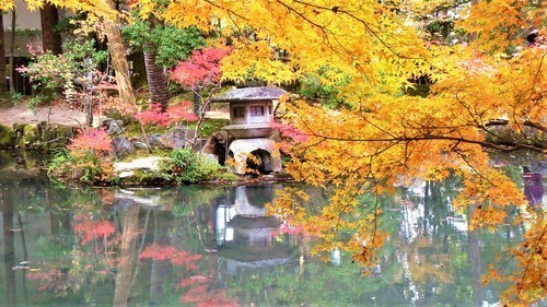 43(26-9876)天授庵 (17)2012年書院南庭.JPG