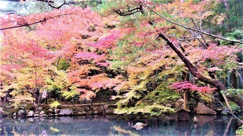 48(26-9876)天授庵 (31)2012年書院南庭.JPG