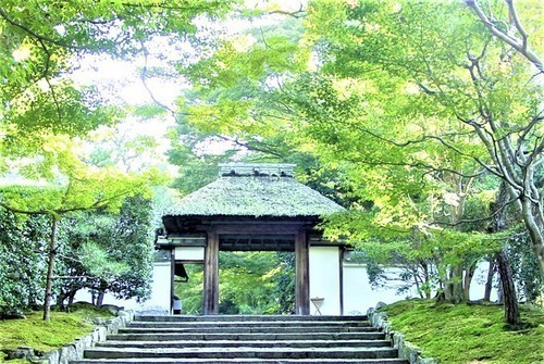 6山門(26-116)(00)安楽寺山門.jpg