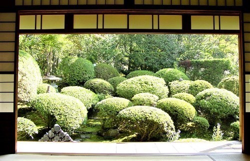 13庭園(26-116)(00)安楽寺庭園2.jpg
