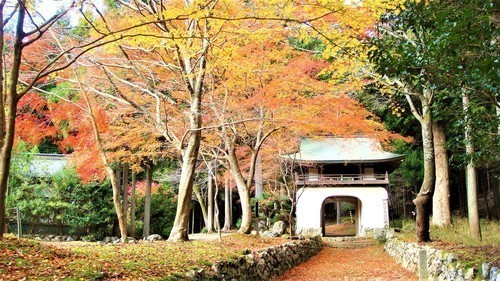 1山門(26-9876)古知谷阿弥陀寺 (10).JPG