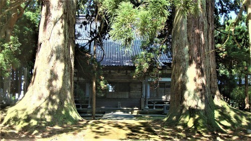 ８門杉と本堂（１６－０５０８）厳照寺 (18).JPG